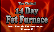 Virtual 14-Day Fat
                         Furnace